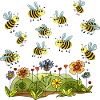 Insectes