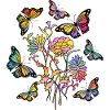 Butterflies