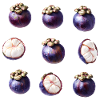Sweet Mangosteen Tropical Fruit