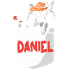 Raccoon Daniel