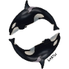 Orca1