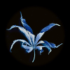 Curled leaf, inverted