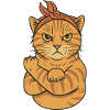 Alimentation Cat