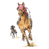 Seabiscuit