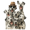 Dalmatiner