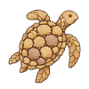 Sea turtle made of shells