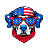 America’s Goodest Boy Dog