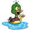 The duck learning to swim