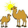 Mère et bébé chameau avec soleil