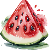 Juicy watermelon – pure summer