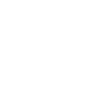 Pizza Enthusiast