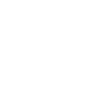 Team Zwickau