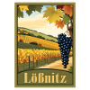 Lößnitz Weinberg