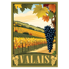 Valais Valais vineyard