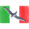 Italy Flag Italy Love Seagull