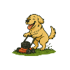 Dog and his lawnmower