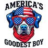 America’s Goodest Boy Dog