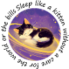Sleeping cat