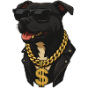 Dog – street style on four paws