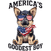 America’s Goodest Shepherd