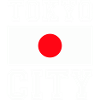 Tokyo City, Japan