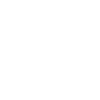 Ally