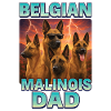Belgischer Malinois