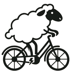 E-Deichschaf
