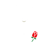 Le chat cool