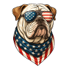 English Bulldog USA