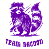 Team Waschbär
