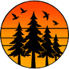 Sapins Nature Forêt