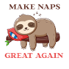 Make Naps Great Again