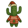 Cactus Noël Moche Noël