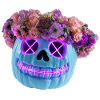 Bloom & Doom