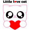 little love cat tranparent