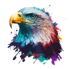 Splash Eagle
