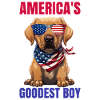 America’s Goodest Labrador
