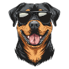 cool Rottweiler dog with sunglasses :-)