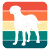 Catahoula Dog
