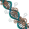 Mechanical DNA