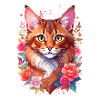 Portrait de chat somalien