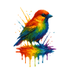 Ulm Rainbow Sparrow