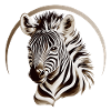 Zebra - Wild Spirit