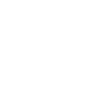 Roi des échecs