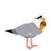 Stay cool