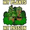 My plants