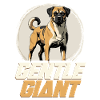 Kangal Dog Gentle Giant