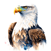 Portrait d’aigle majestueux à l’aquarelle