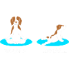Brittany Dog Brittany Dog